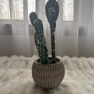 Decorative fake cactus!!🌵